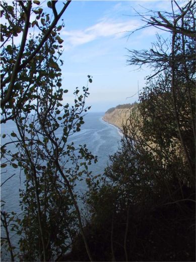 view from the bluff