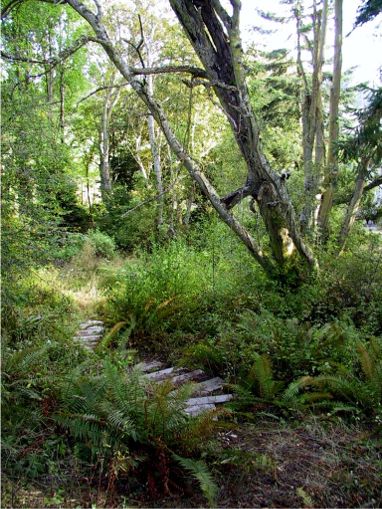 path
