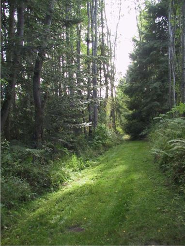 path