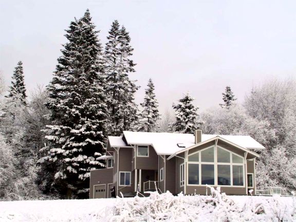 January Snow
