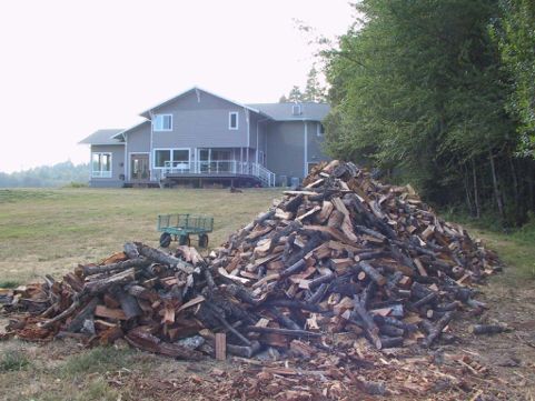 wood pile