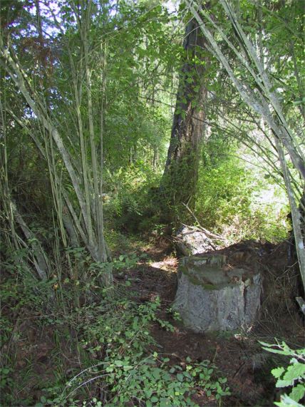 Path to the overlook