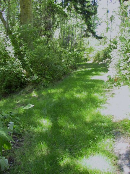 The path near the barn.