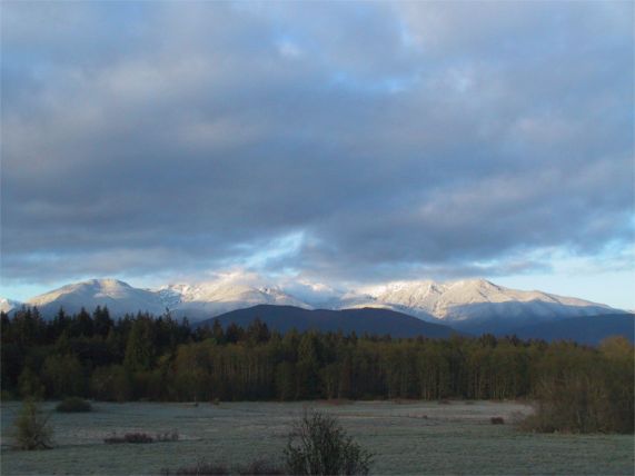A view from the front window.
