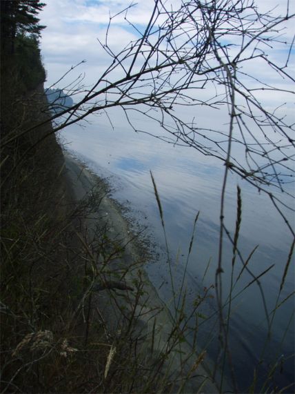 Looking west along the bluff.