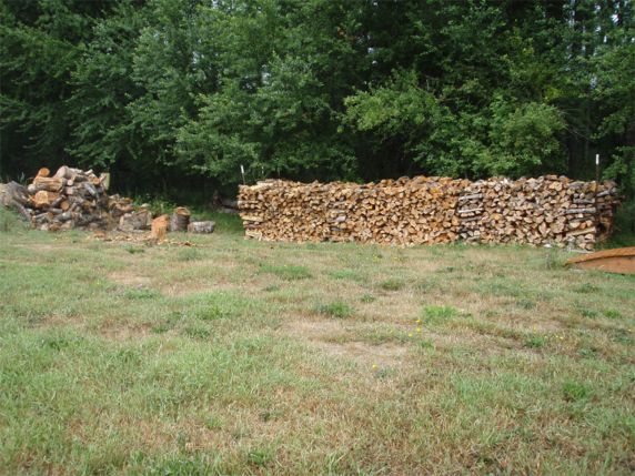 The woodpile